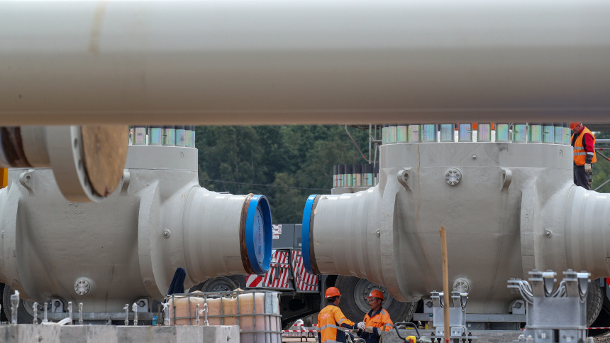    Фото: ИЗВЕСТИЯ/Дмитрий Коротаев; 5-tv.ru