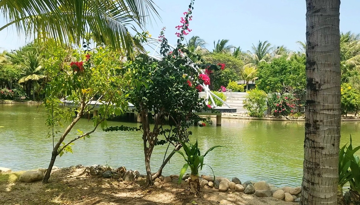 Прудик на территории. Все фото для статьи взяты из личного архива автора.