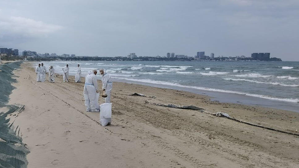 Фото: Оперативный штаб Краснодарского края