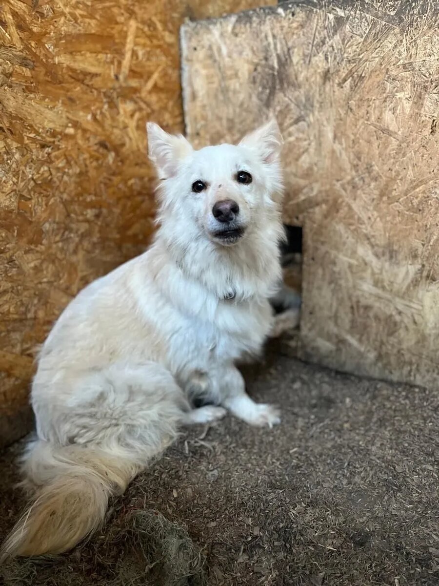 Ну что за красавчик Савелий!