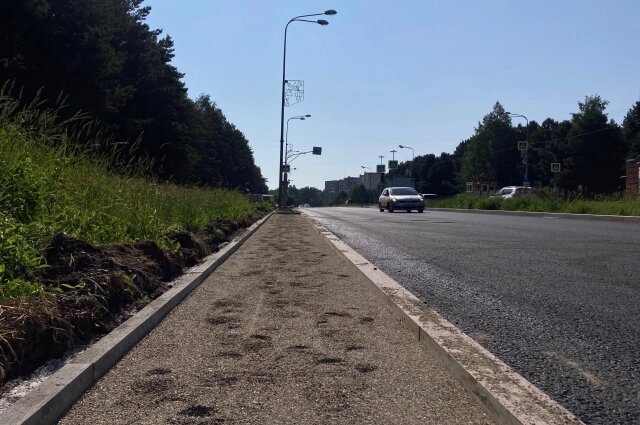    Фото: АиФ/ Фото: Антон Харин