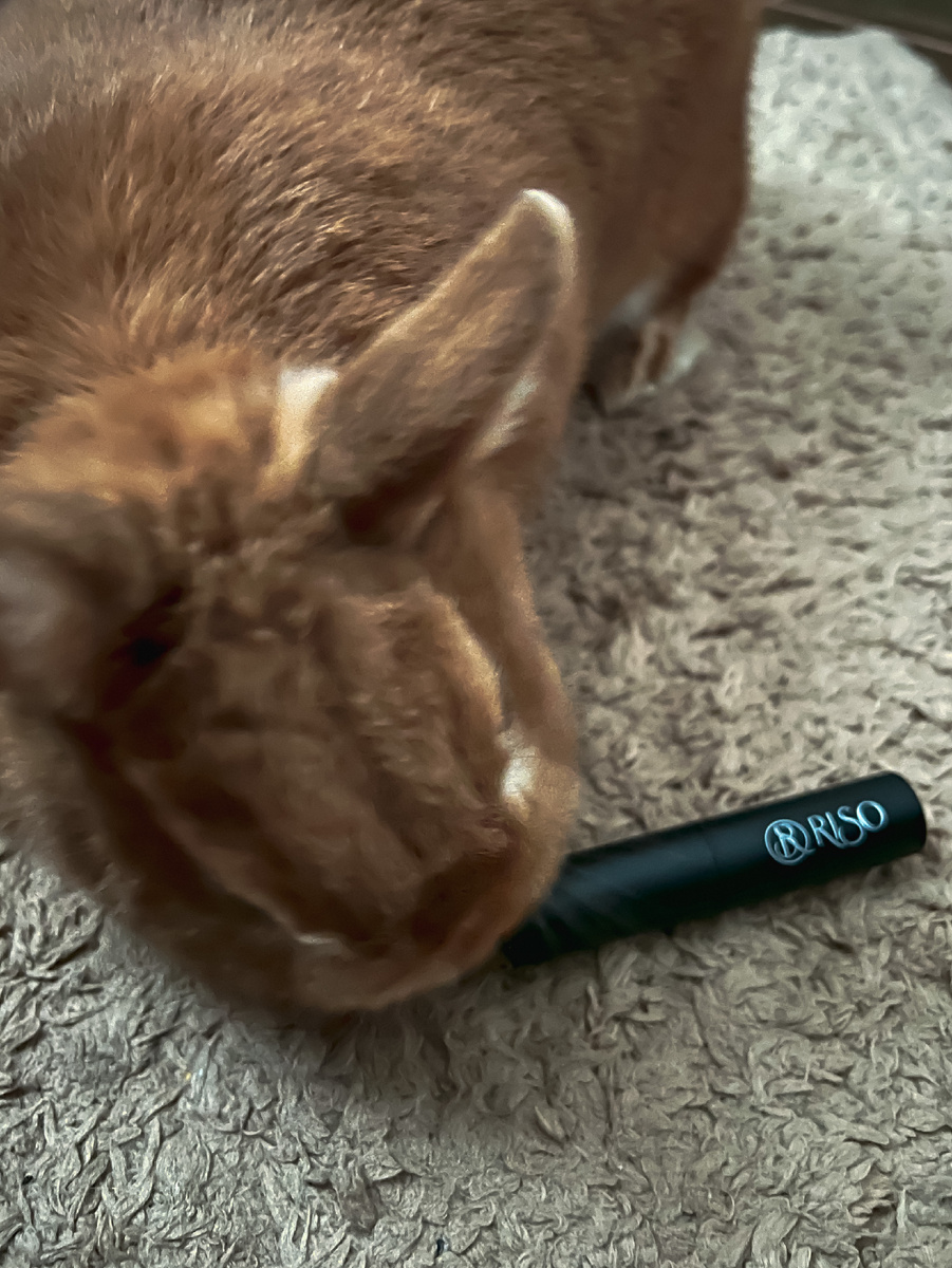 Тест на качество пройден 