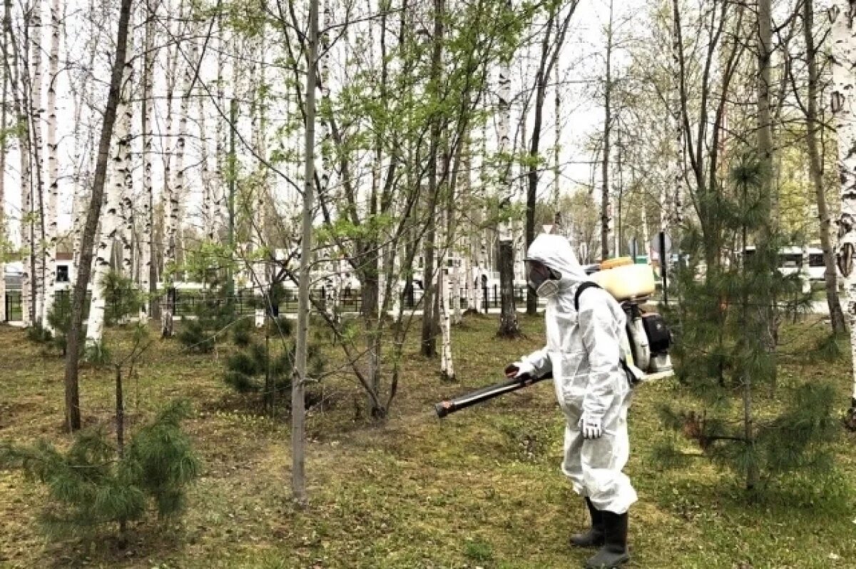    В городах Югры обрабатывают территории от насекомых.