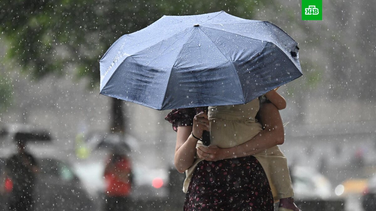    Фото: РИА Новости © 2025, Пелагия Тихонова