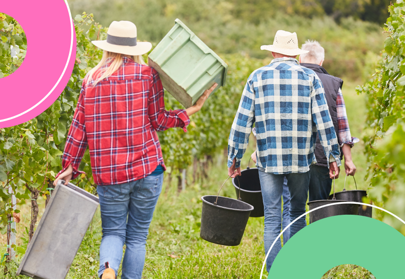 Shutterstock/FOTODOM