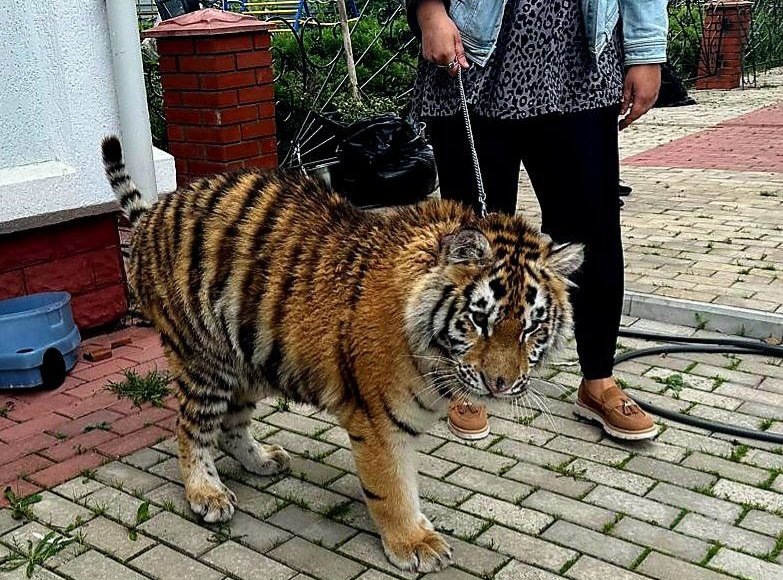    Фото: Росприроднадзор