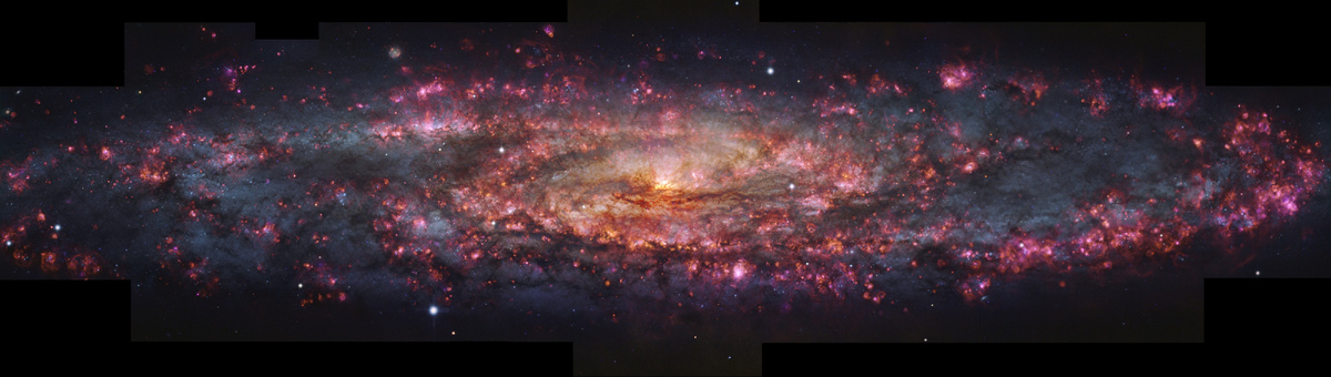 Полный вид галактики Скульптор, полученный с помощью инструмента MUSE телескопа VLT.(Изображение предоставлено: ESO/E. Congiu et al.)