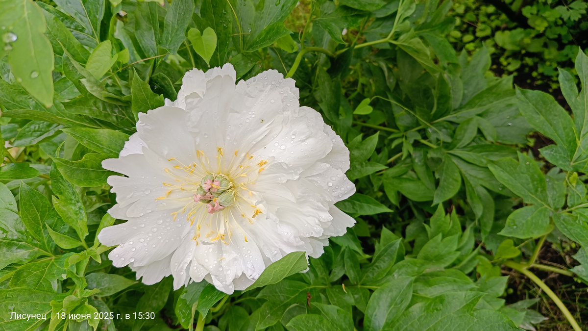 Фото моё,с места прогулки