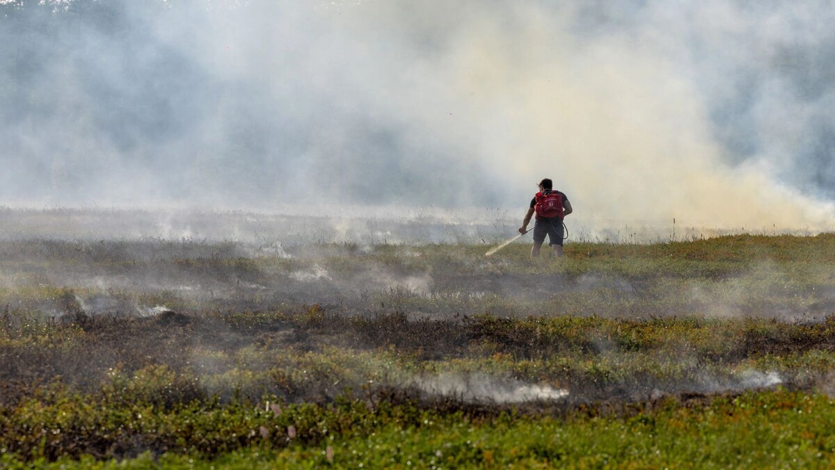    Фото: Юлия Чудинова/«Ямал-Медиа»