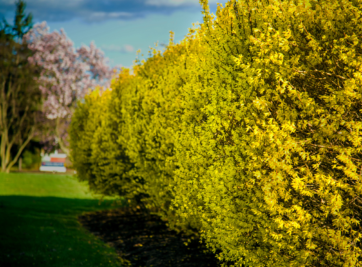 Designed by Freepik. Источник: www.freepik.com