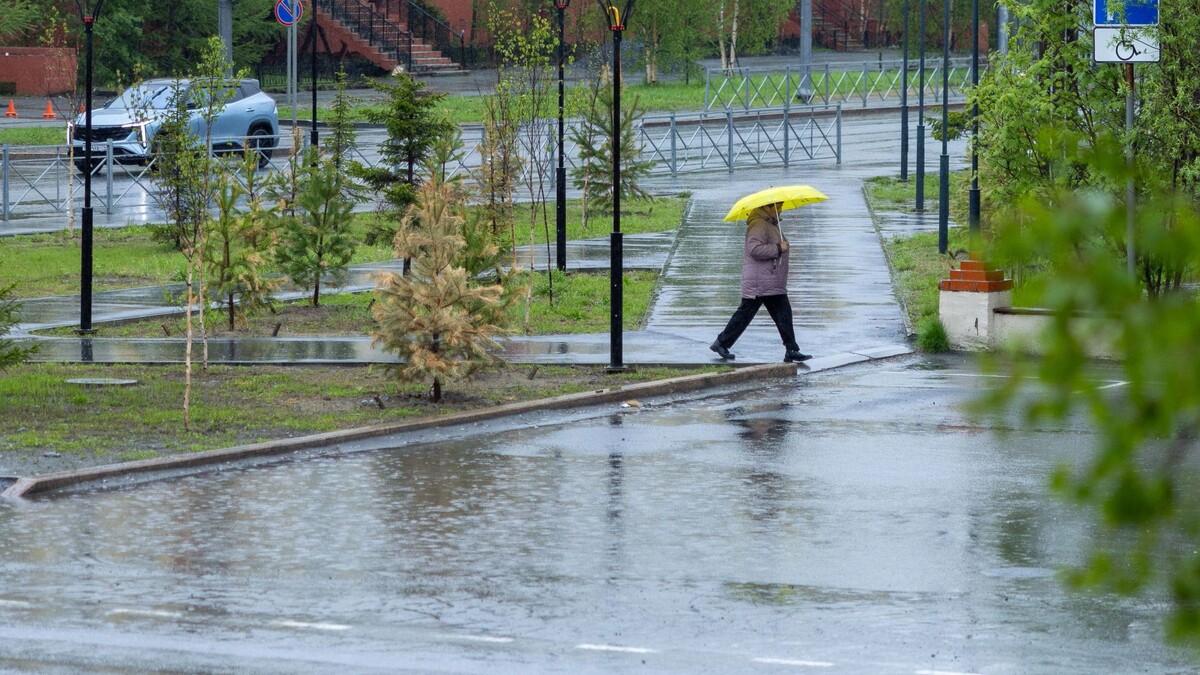    Фото: Фёдор Воронов / "Ямал-Медиа"