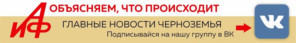    Вконтакте, АиФ-Черноземье, группа в соцсети, Фото: АиФ