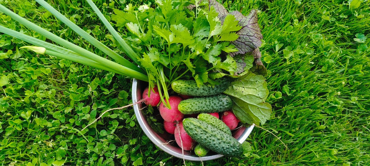 Для салатика всё есть