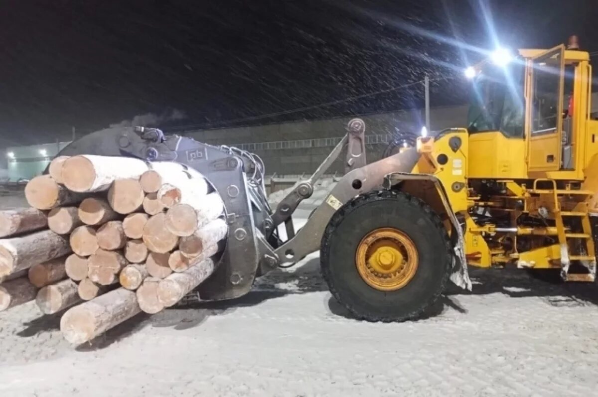    СК в Коми направил в суд дело о погибшей при сортировке леса женщине