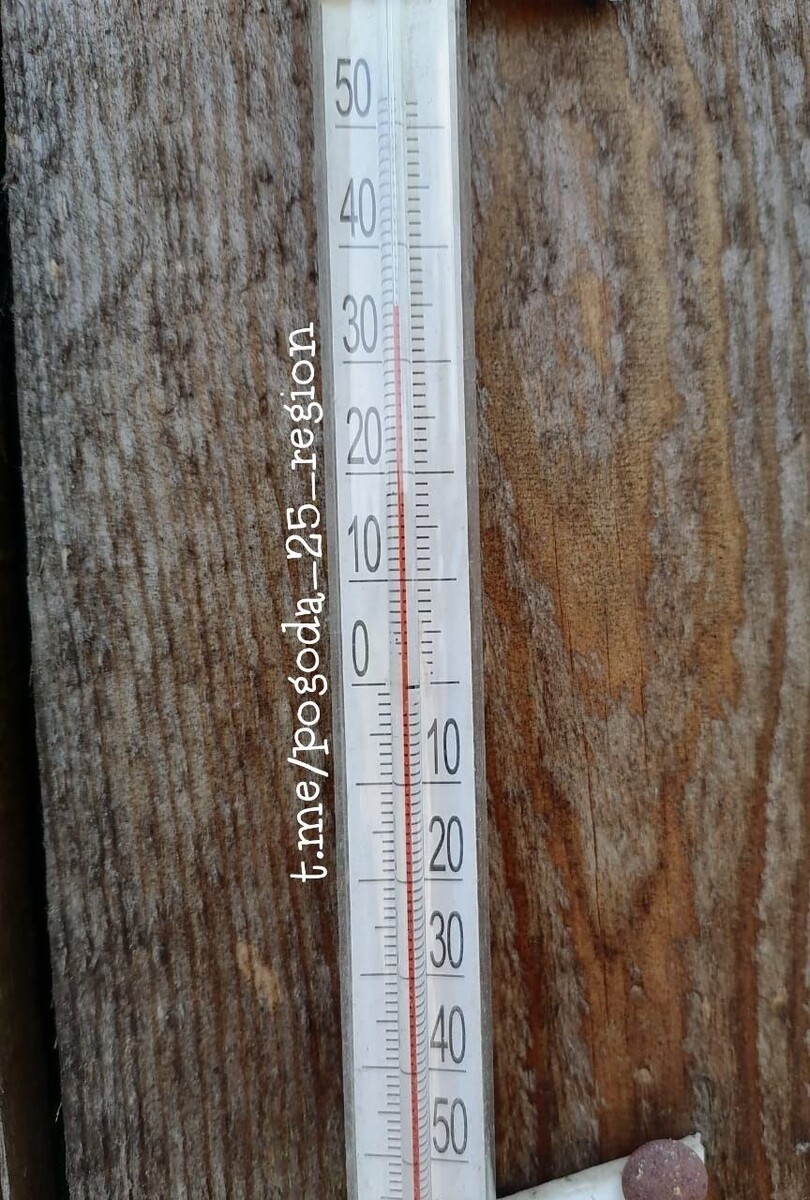     Источник: pogoda_25_region