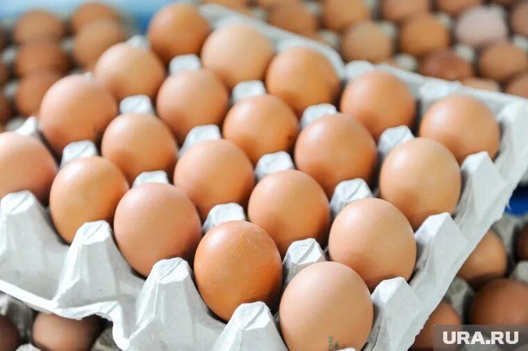 Стоимость десятка опустилась до 53 рублей. Фото: Вадим Ахметов © URA.RU