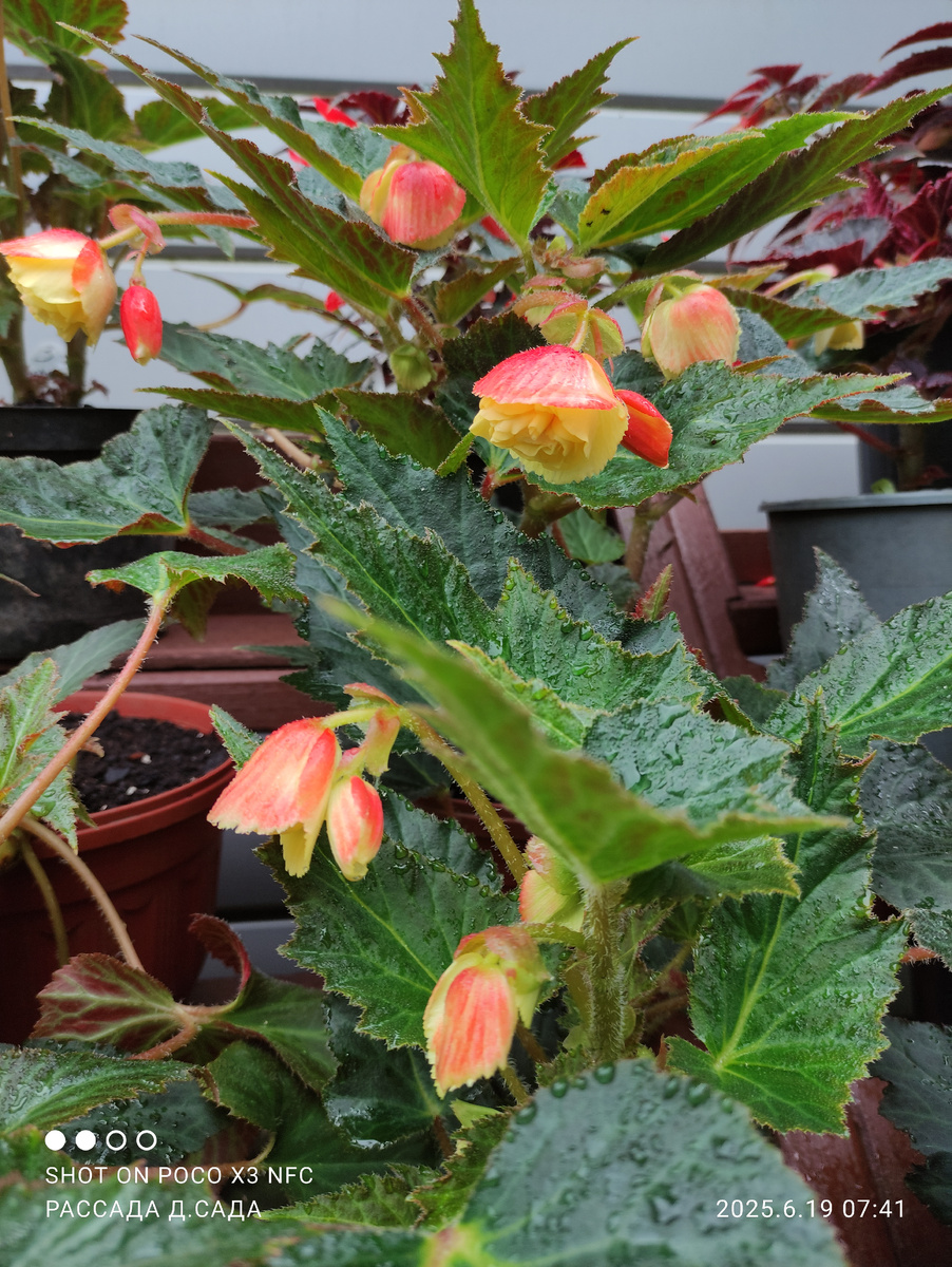 Мокрые, но счастливые.