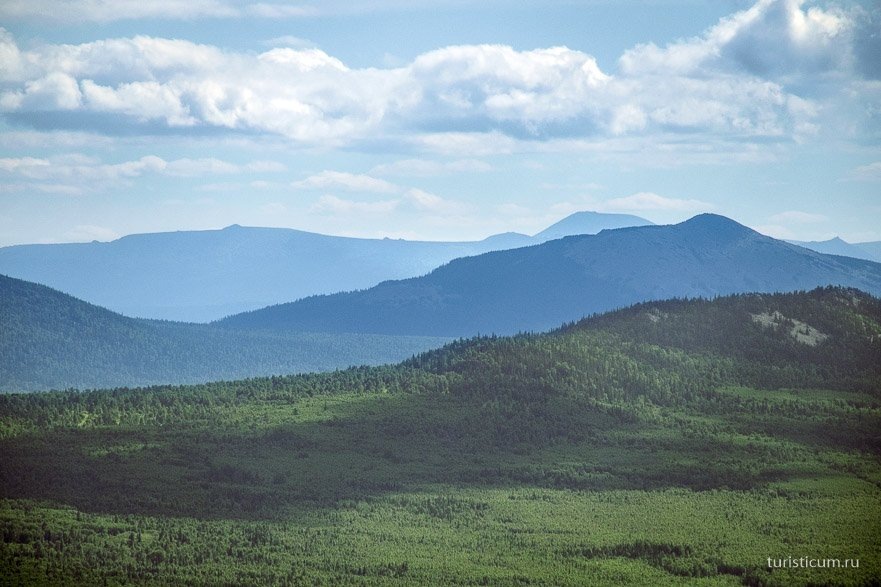 Яндекс картинки.