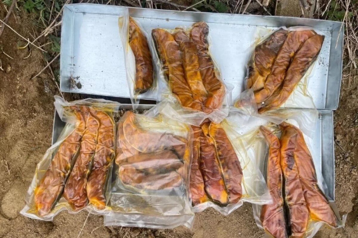    В Хабаровском крае полиция задержала браконьеров с 40 кг осетровой икры