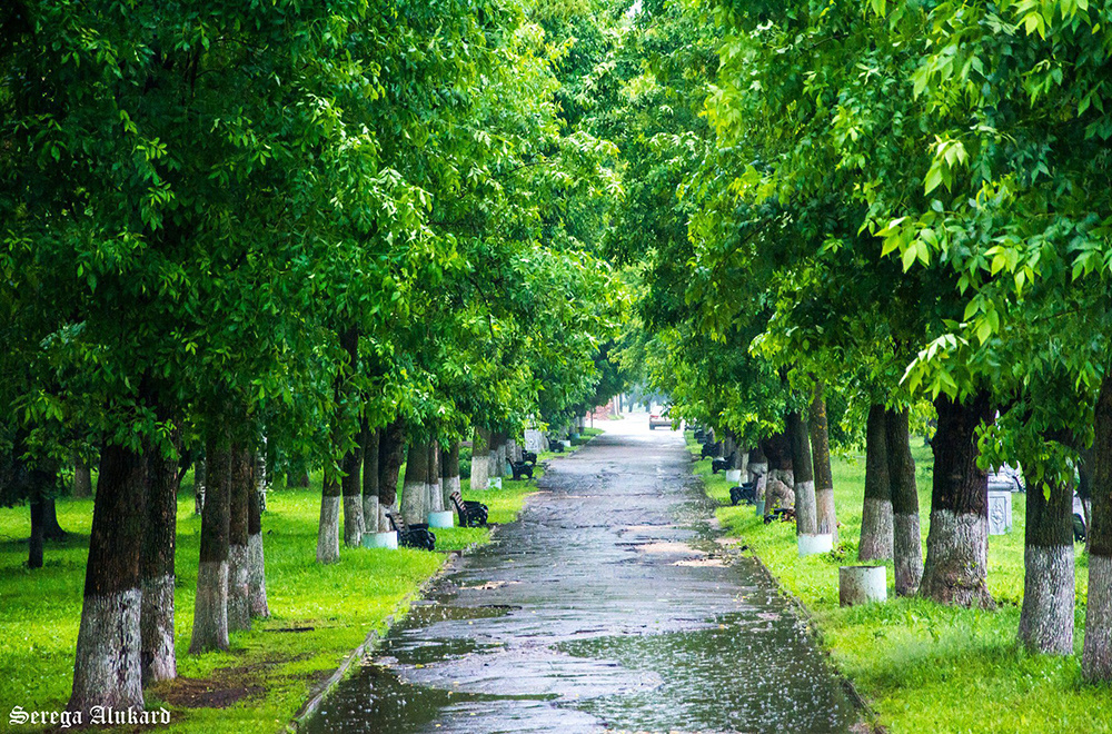 Погода в Твери 19 июня. Холодно и очень мокро