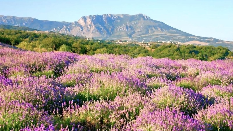      Фото: администрация Предгорного округа