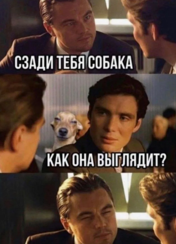 Если начальник спросит — просто прищурься и кивай