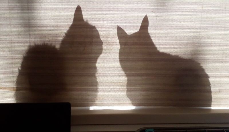    Фото Павла Лопатко Ксения Евдокимова