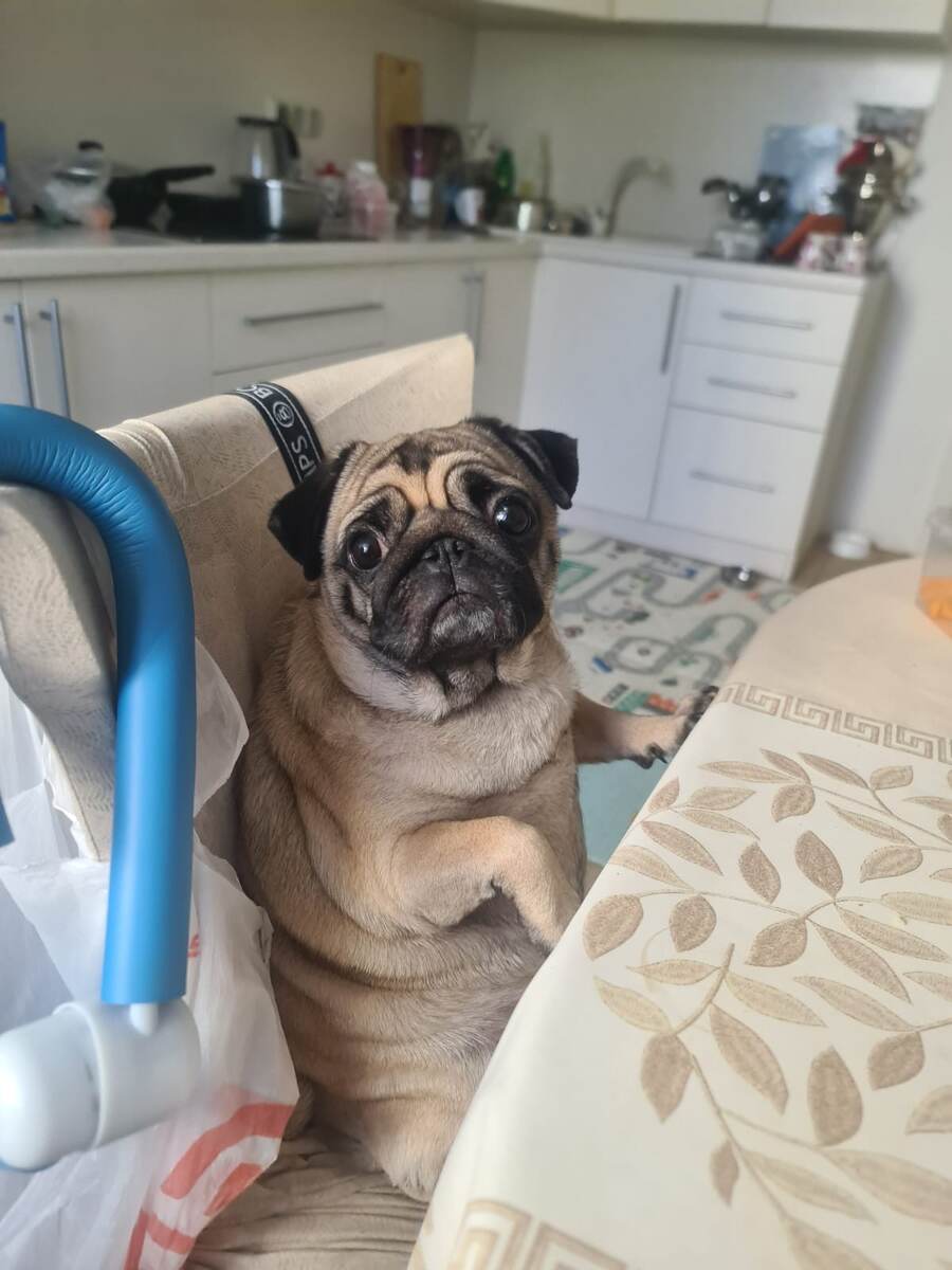 Ника меня поздравила!