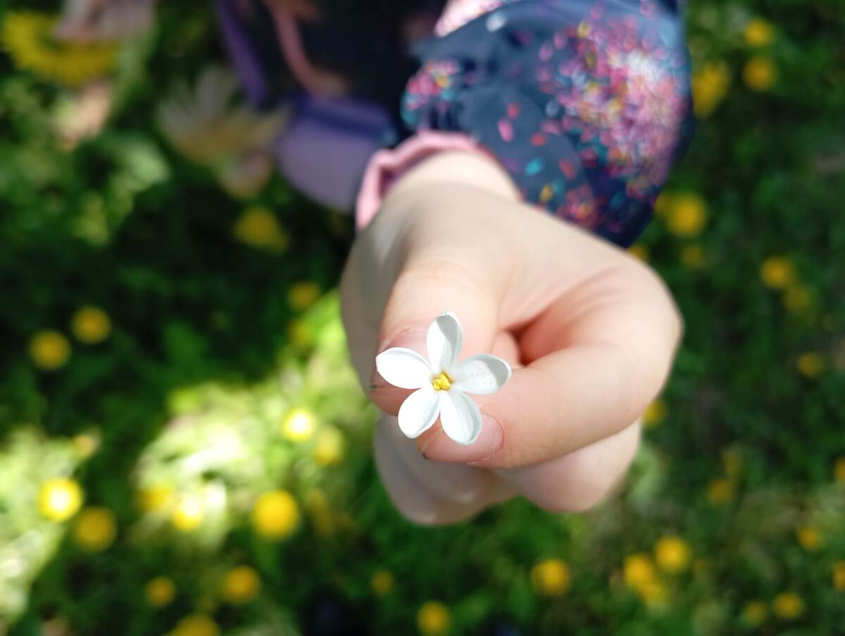 Пять счастливых лепестков  