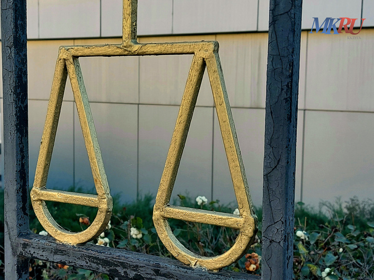     Фото: "МК в Калуге"