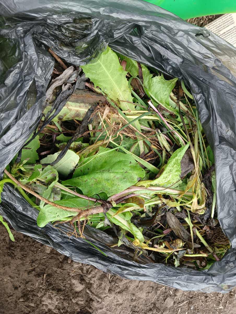 Это я по новому сделала, в пакете 