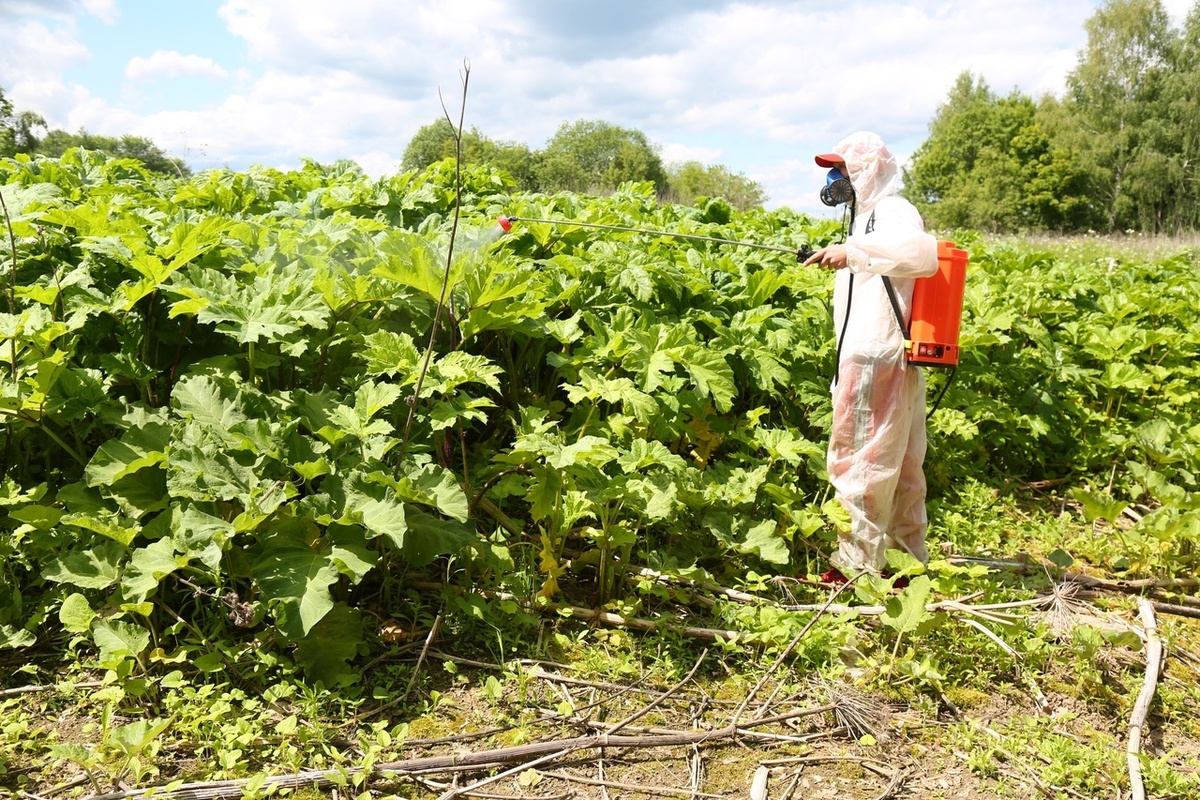 Фото из интернета