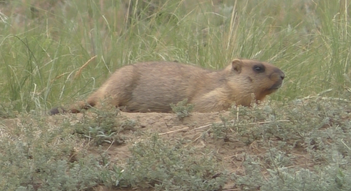 Фото автора из водного похода "Подвалье - Русская Бектяшка"