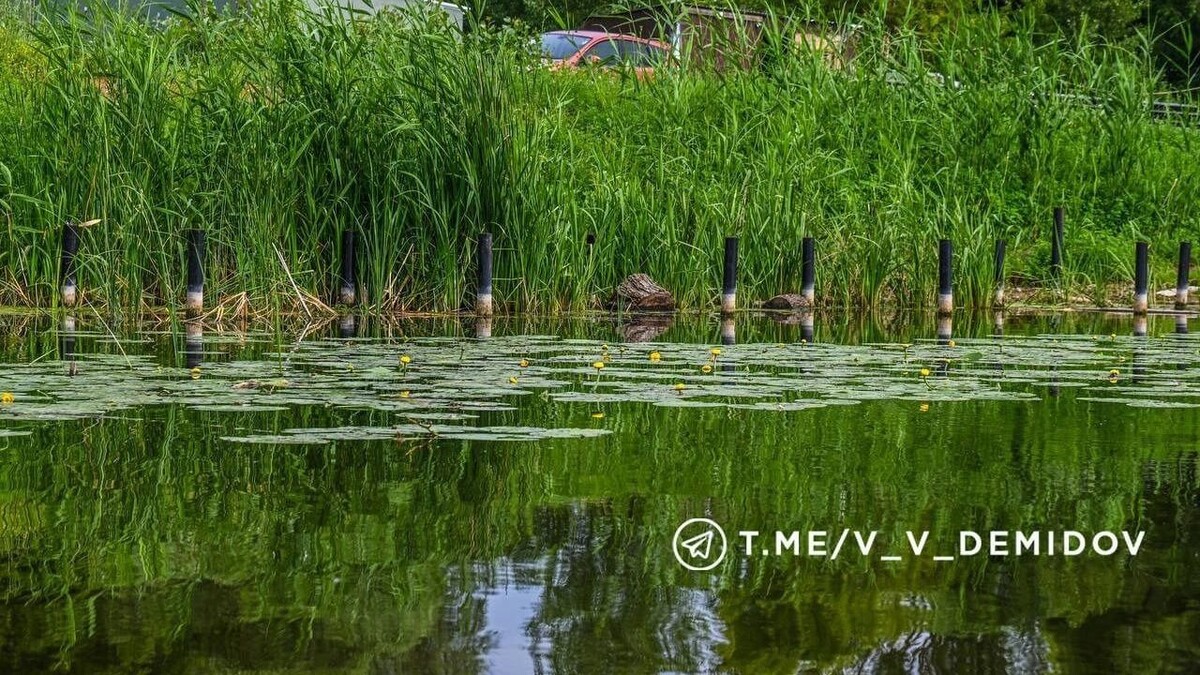     Источник: t.me/v_v_demidov