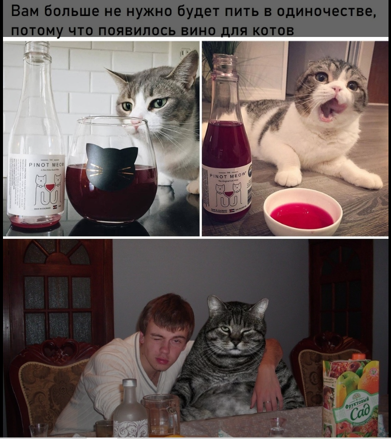 "Запой вечером"