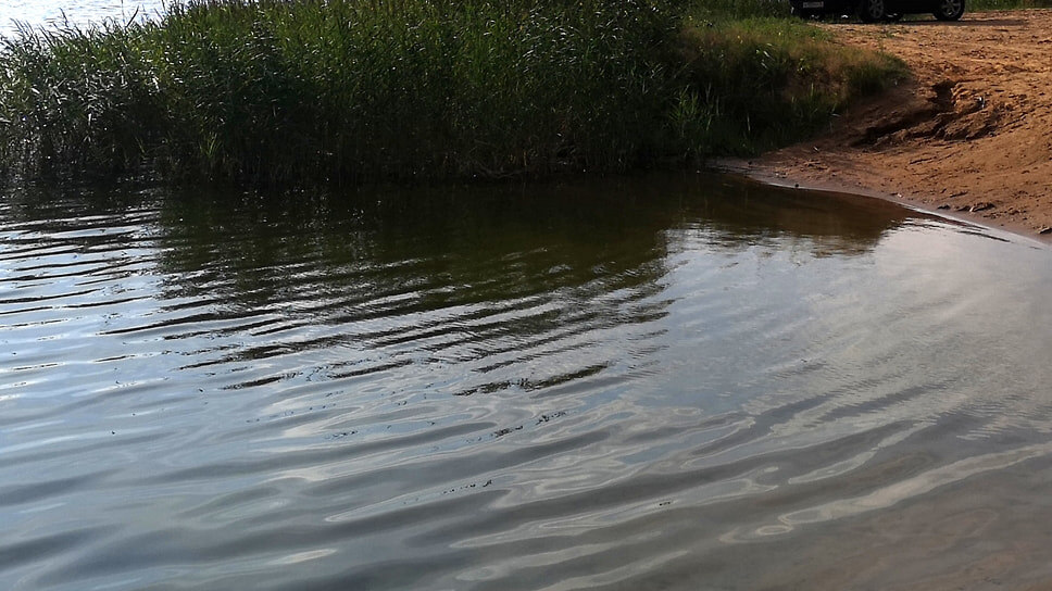 Фото: Леонид Гунин / Коммерсантъ