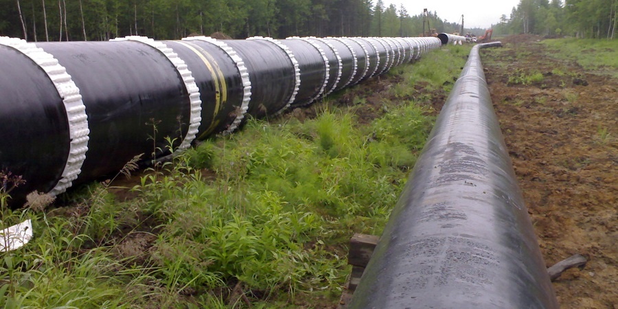 Источник: © Leonid_Eremeychuk / Фотобанк Фотодженика