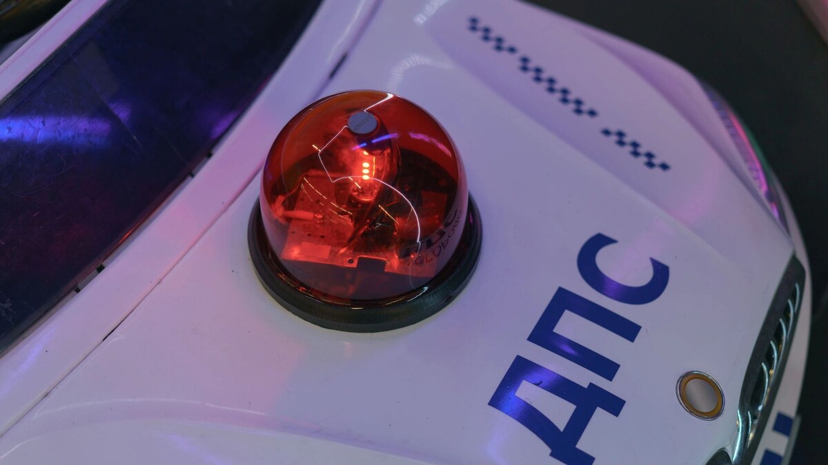    Фото: YuryKara/Shutterstock/Fotodom