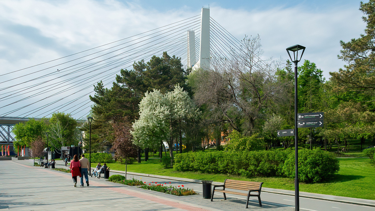Центральный мост. Новосибирск. Фотография - www.openmainphoto.ru