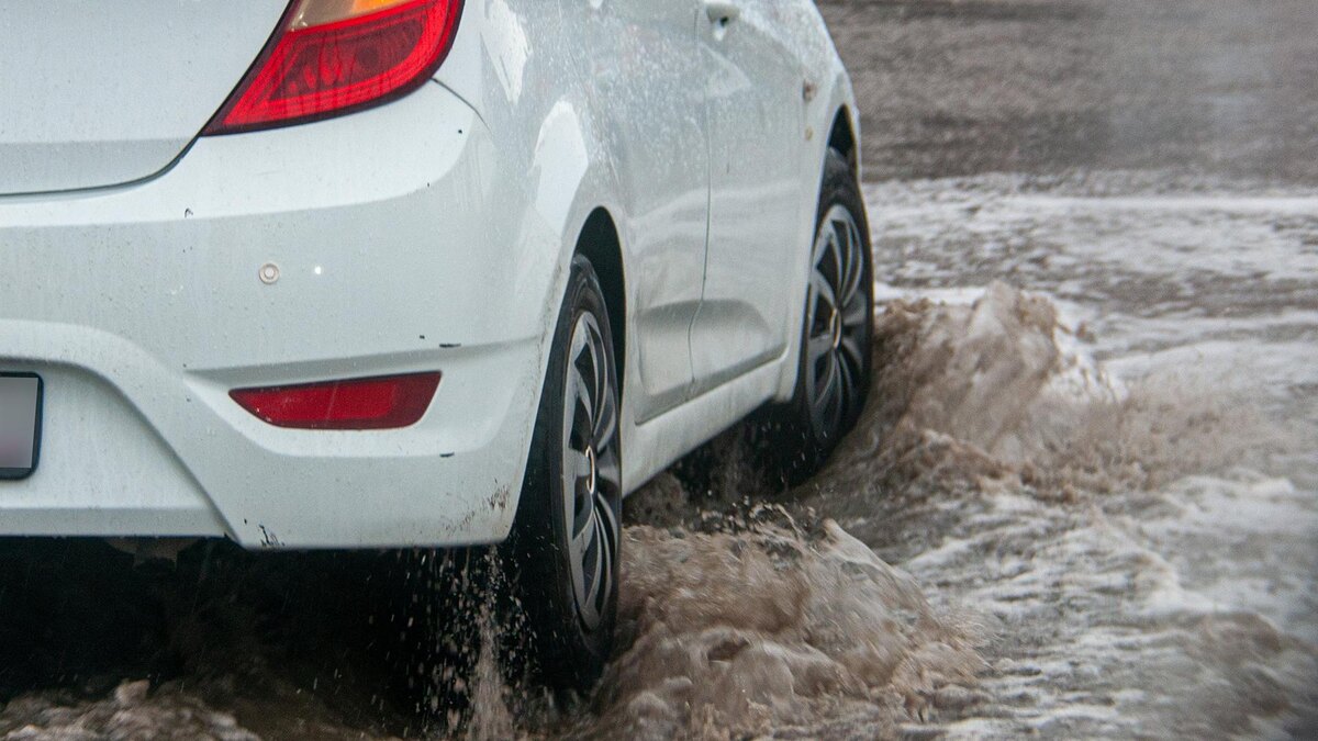    Фото: Svetlana Vozmilova/globallookpress.com