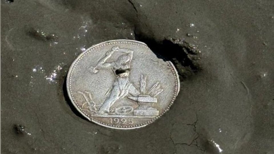    . Источник: Андрей Щукин