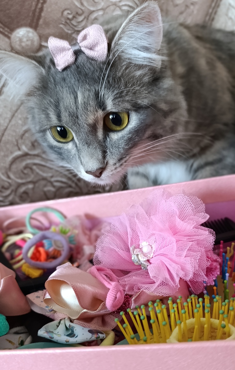 Мусенька, любит красоту