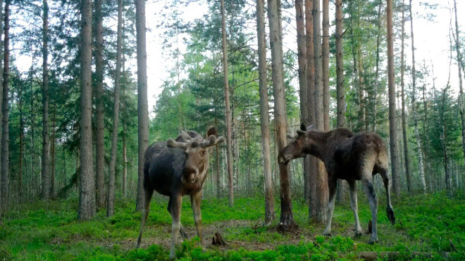 Фото: Павел Глазков