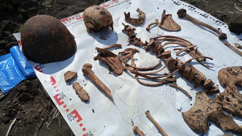    Автор фото: предоставлено Александром Шенфишем