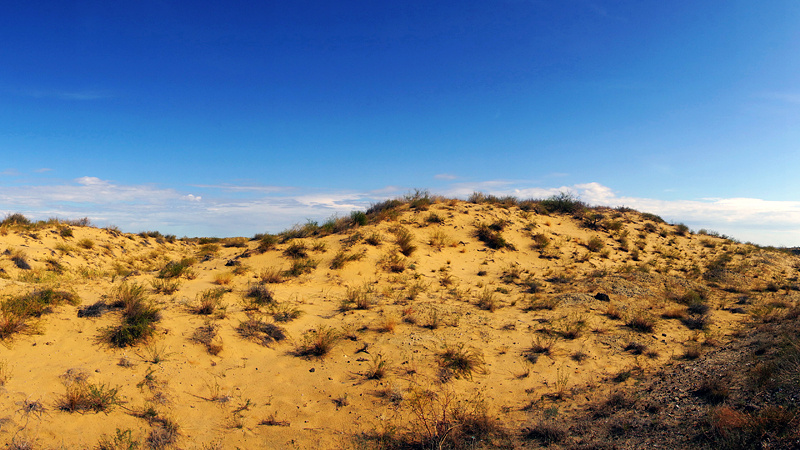 Жаль, что не было времени как следует погулять по этим красивейшим местам, но не остановиться на полчасика и не пройтись по барханам мы не могли.