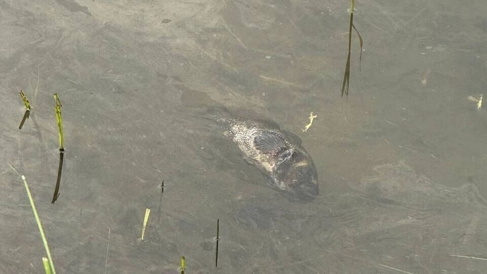     Источник: ЧС Тюмень