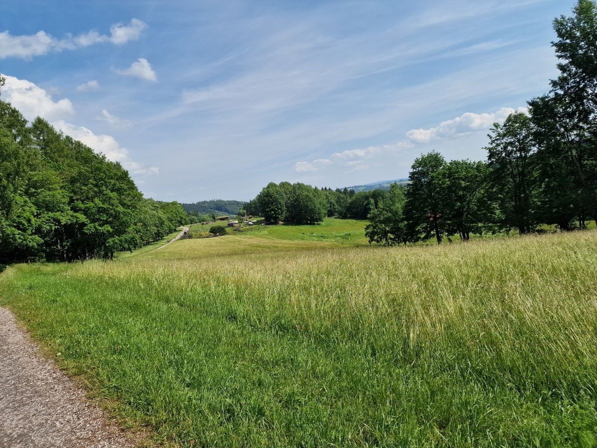 фото автора: окрестности Янских Лазней