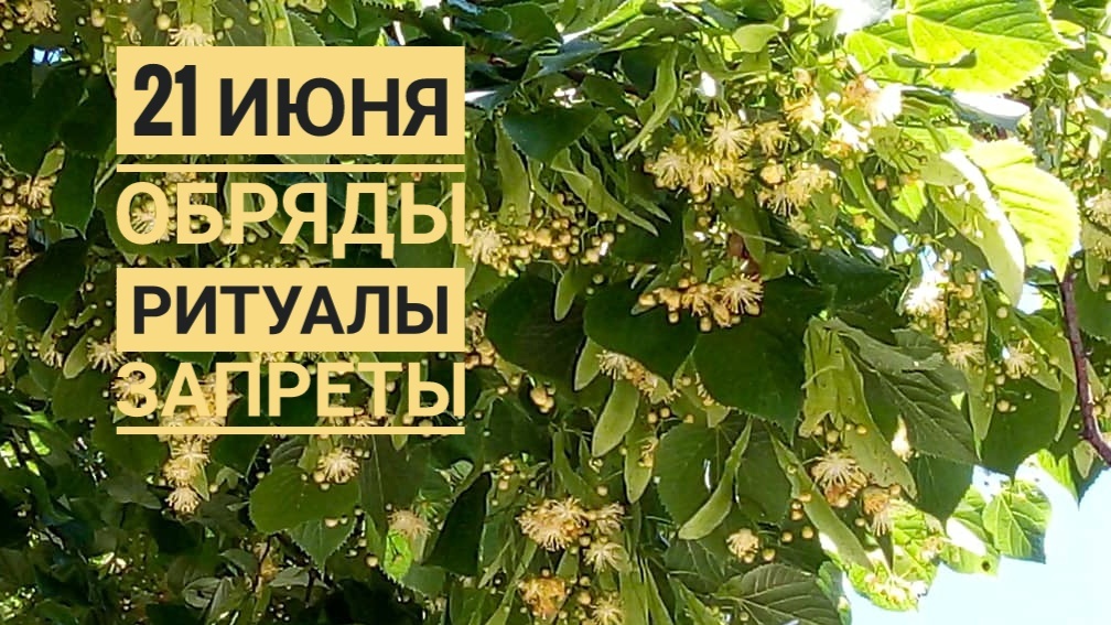 Солнцеворот 2025: суть и значение