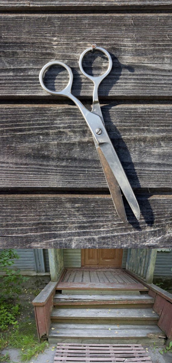 Фотоколлаж автора статьи 