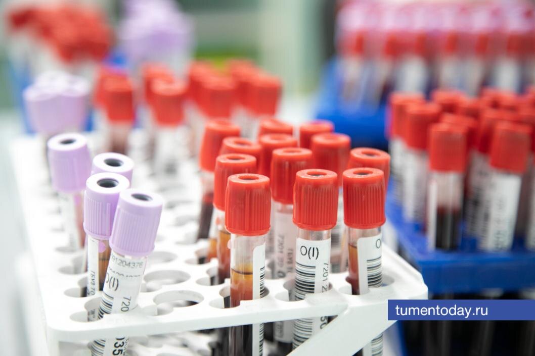  Фото Сергея Куликова